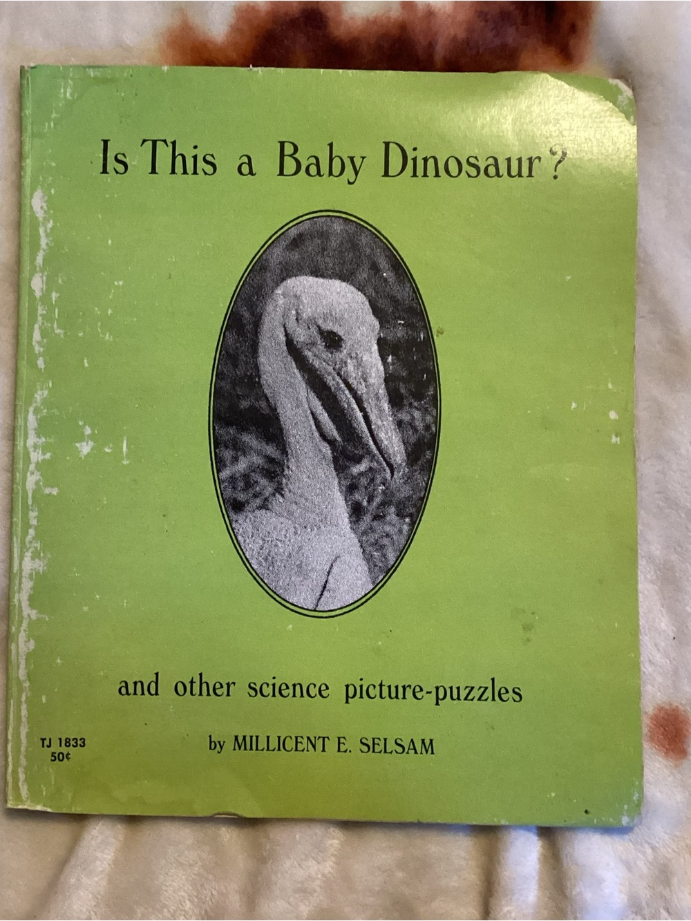 1971 Is This a Baby Dinosaur? and Other Science Picture Puzzles Paperback Book